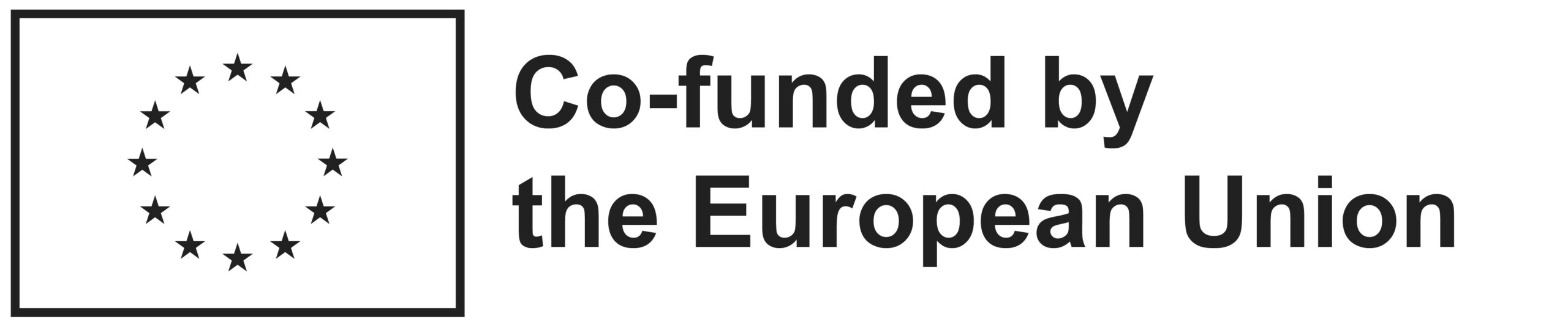 Co-funded by the EU_BLACK Outline